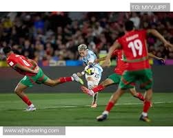 详解棒球规则中的界外球接捕判罚当球触及看台边缘摄影器材的处理