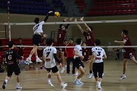 王者荣耀职业选手英雄使用率统计