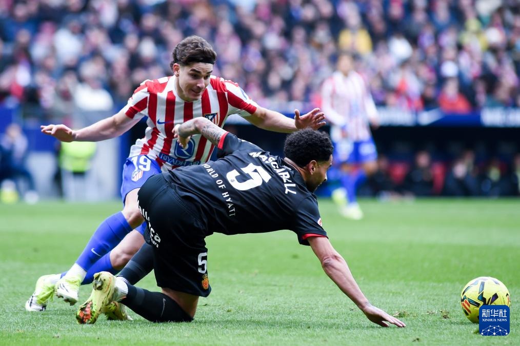 职业选手的“工具箱”：从追踪软件到GTO模拟器的日常训练。（职业选手的日常训练利器：从追踪软件到GTO模拟器）