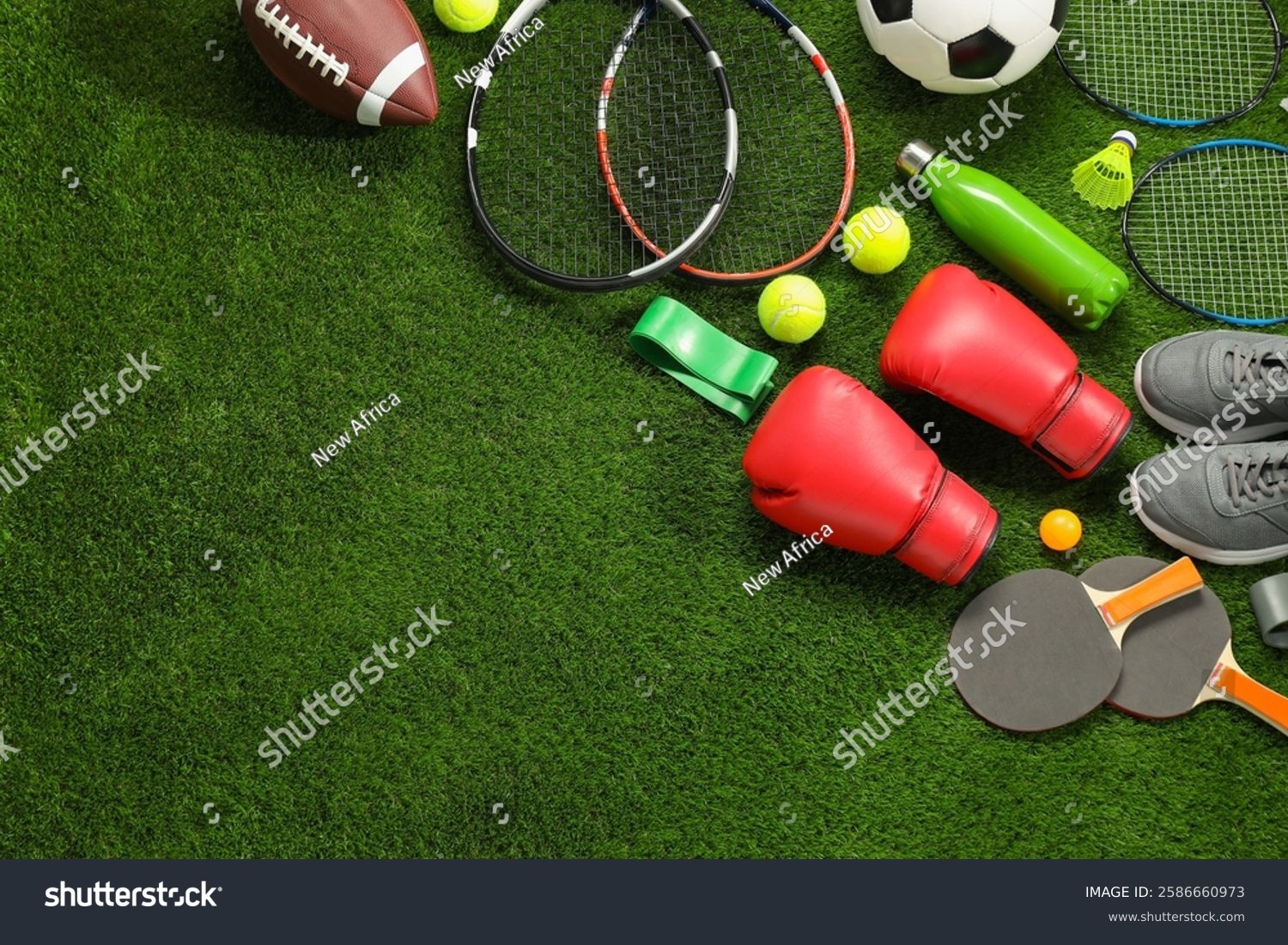 洛杉矶道奇队宣布 2025 赛季球队赞助商收入突破 4.5 亿美元